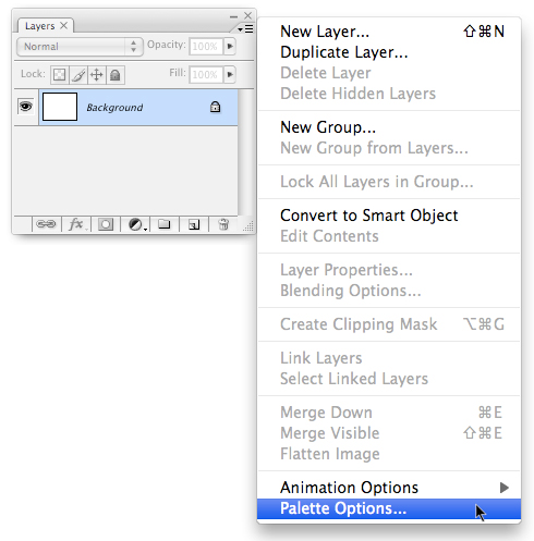 http://www.yiyinglu.com/easter_eggs/Photoshop_Merlin/Palette_Options.jpg