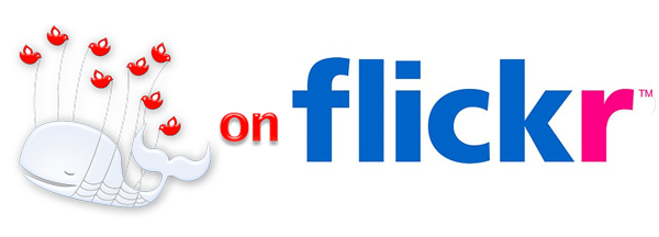 fail whale flickr