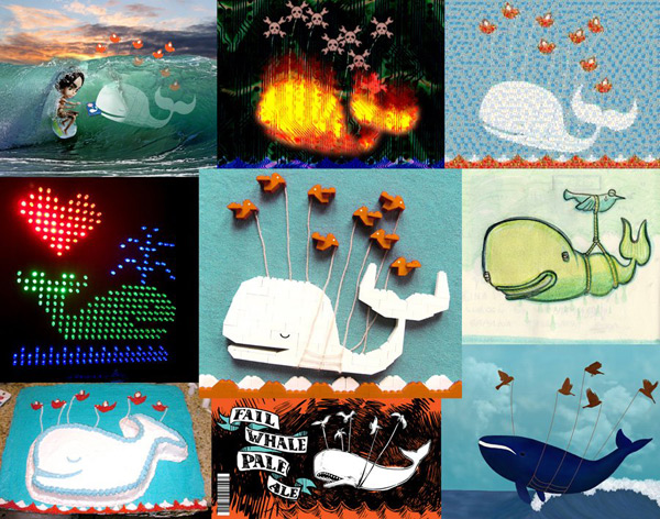 fail whale sighting
