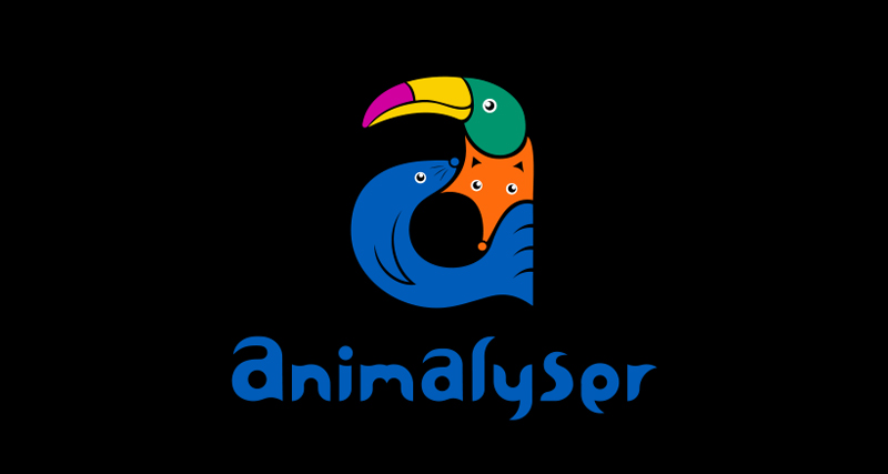 Animalyser_Branding_Presentation_togo-14