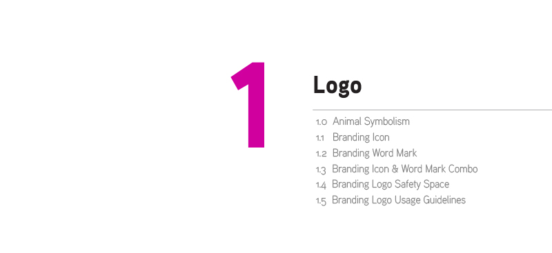 Animalyser_Branding_Presentation_togo