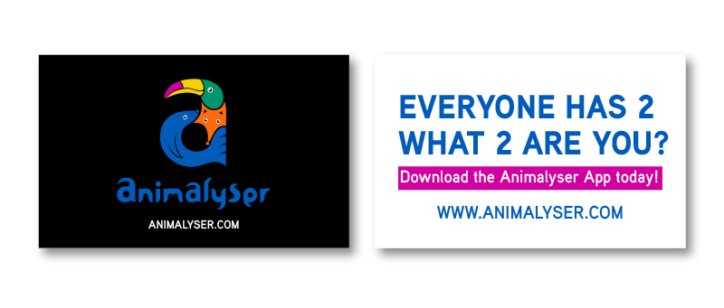 Animalyser_Branding_Presentation_togo-44