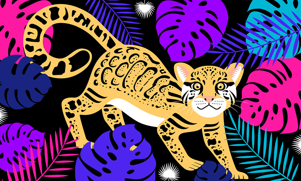 Wild & Bright